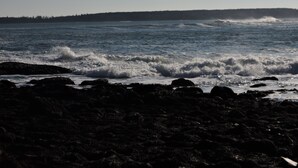 A rocky shoreline with waves crashing onto the rocks. - Open Hearth Inn (Trenton)