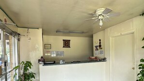 A reception area with a counter, a ceiling fan, a door, and a potted plant. - Holiday Motel Westfield (Westfield)