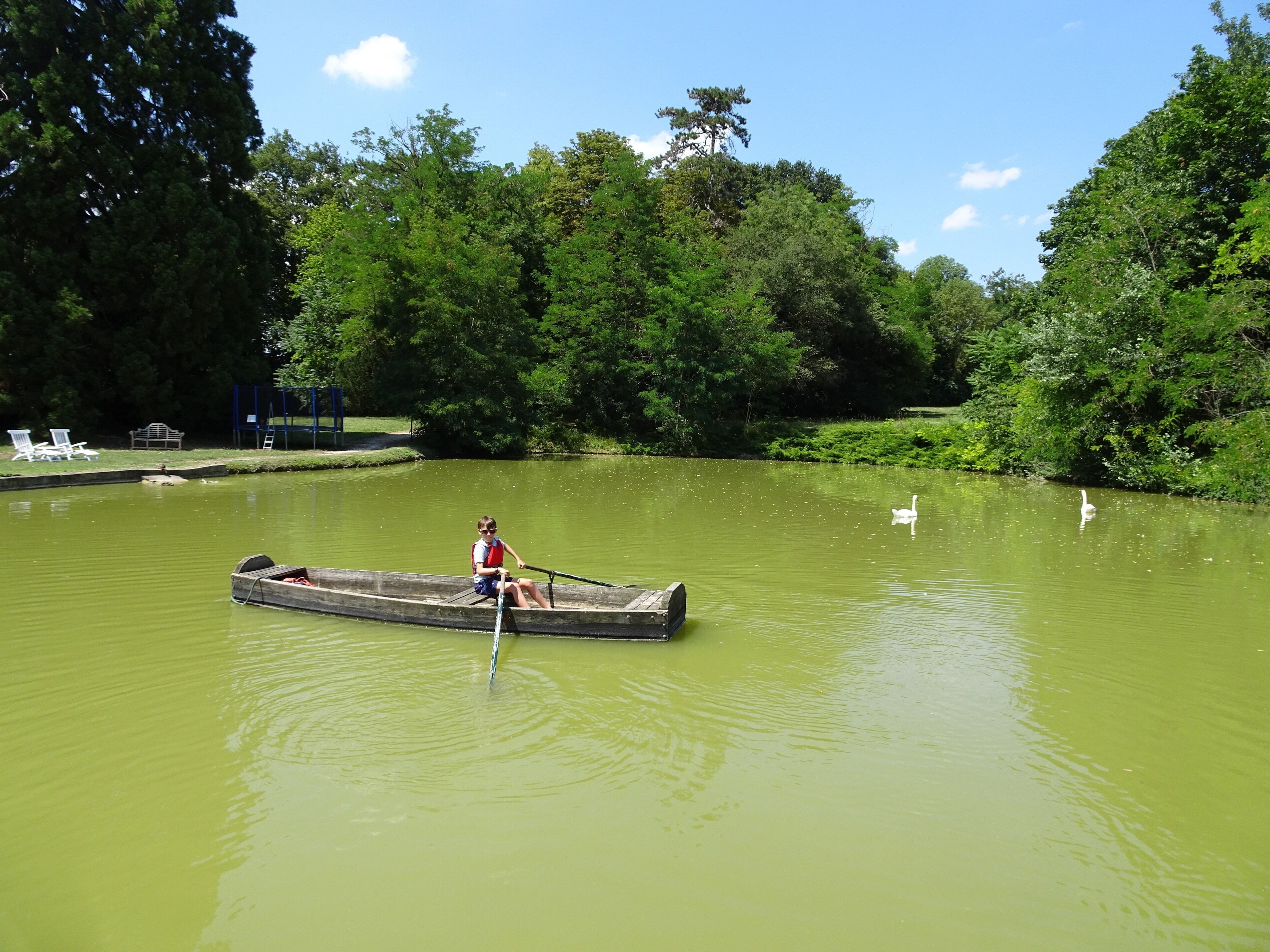 Iemand roeit in een boot op een kalme rivier, omringd door weelderige begroeiing.