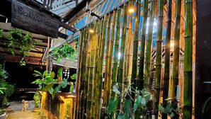 A bamboo fence with potted plants, a stone pathway, and a sign reading "Islandfront." - Islandfront Cottages (El Nido)