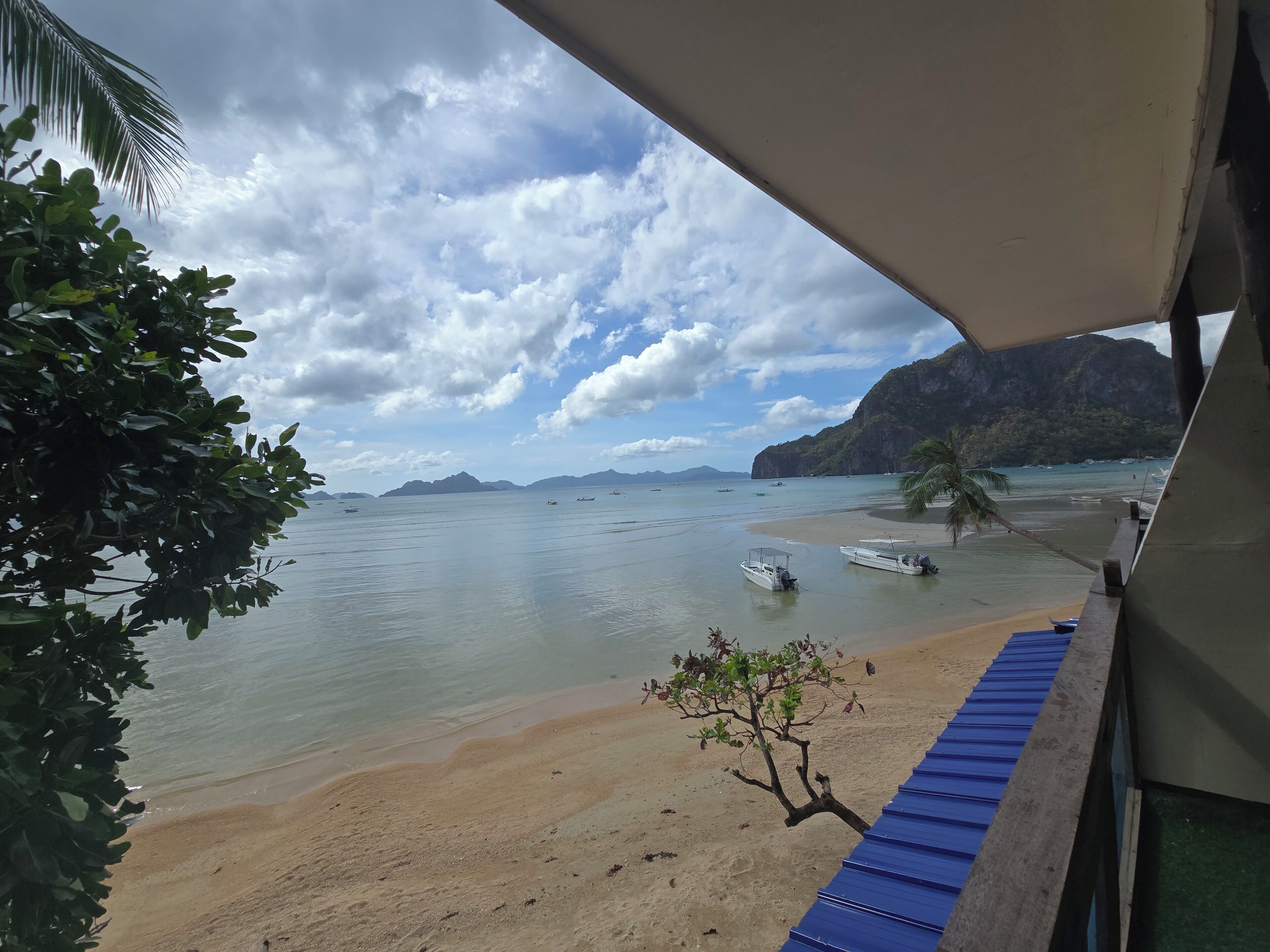 A beach view with boats, a palm tree, and a mountainous backdrop.
