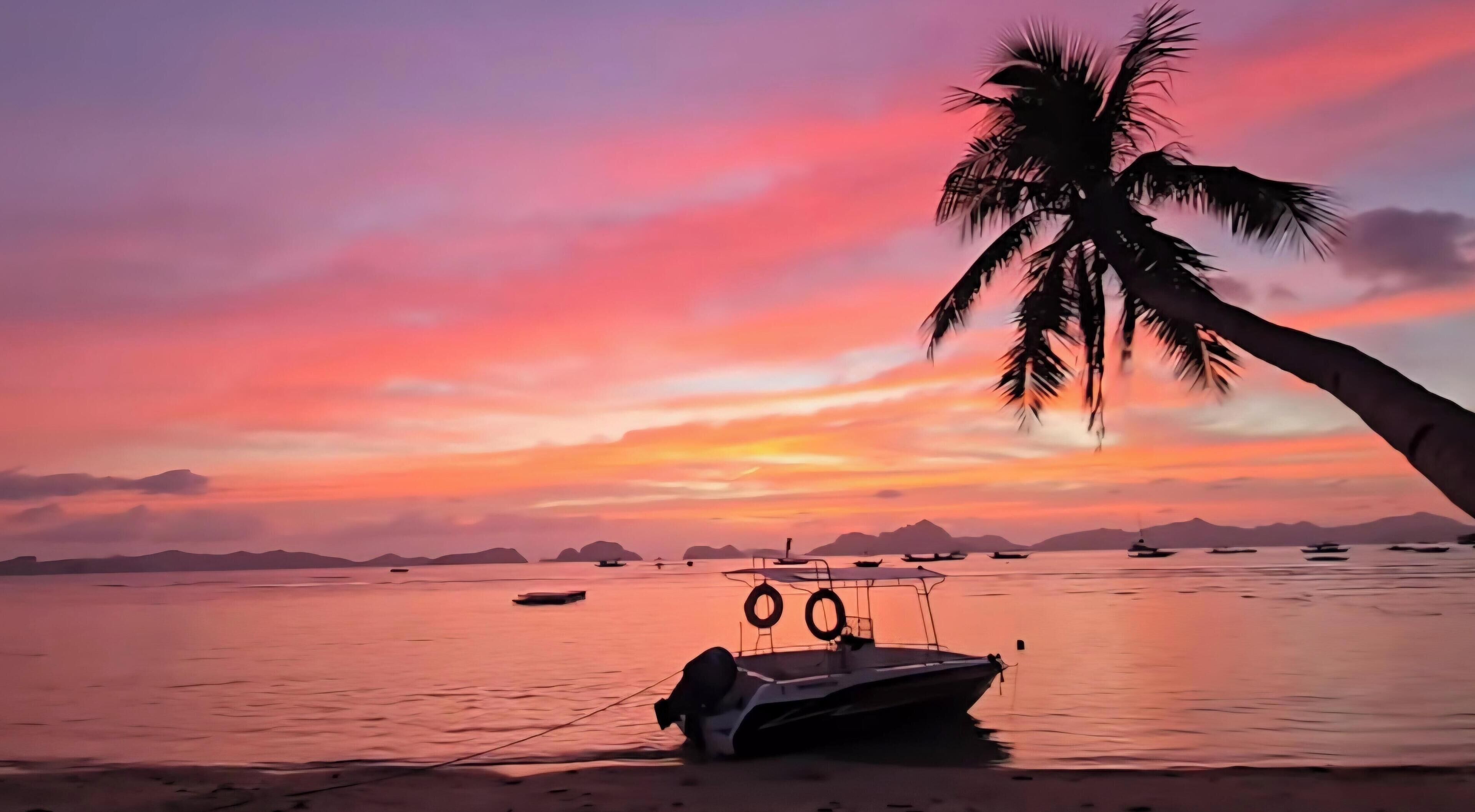 A boat docked at a beach with a palm tree and a sunset in the background.