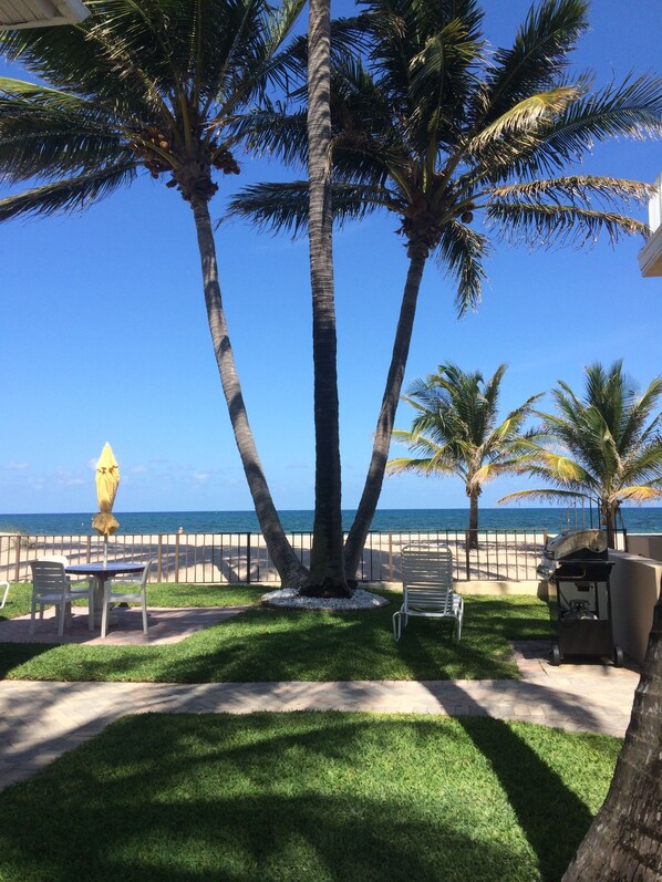 Vista desde la propiedad