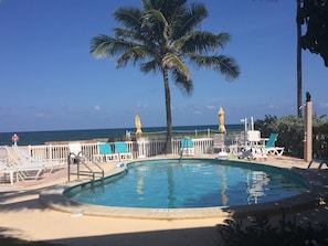Outdoor pool - Southern Seas (Lauderdale-by-the-Sea)