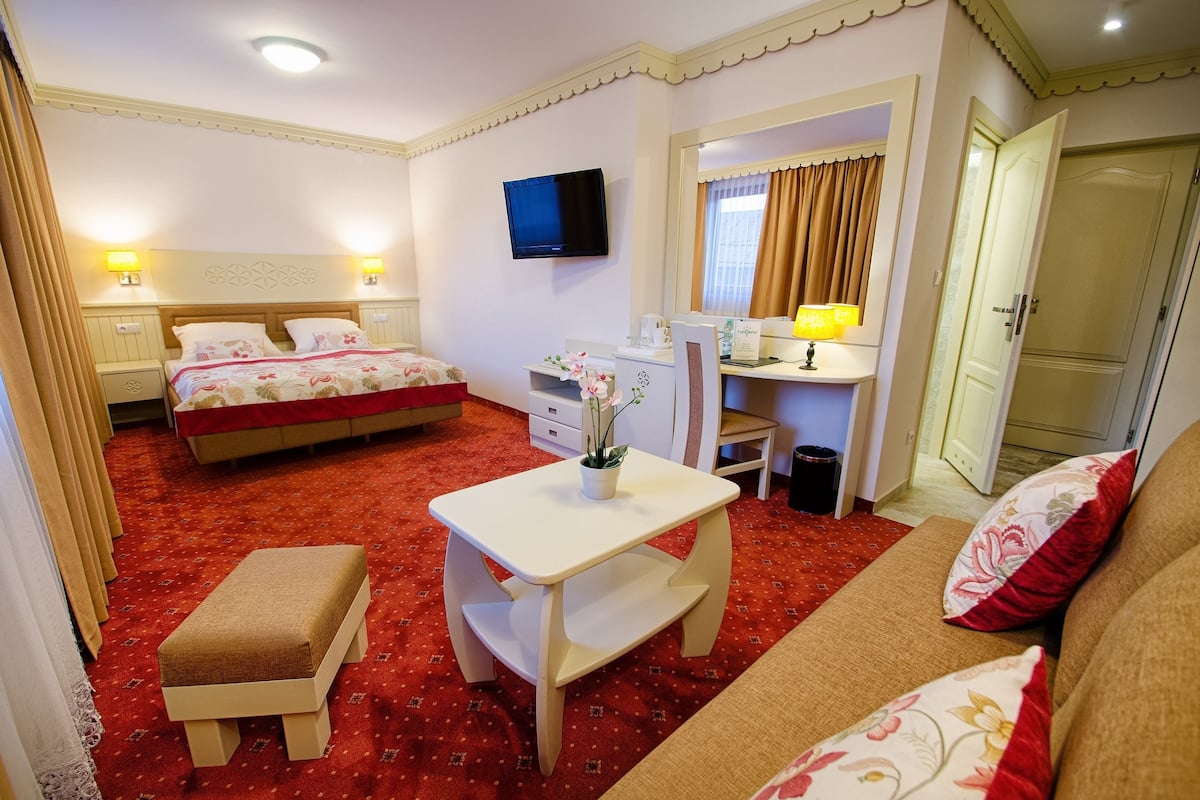A hotel room with a bed, a desk, a TV, and a small table with a plant.