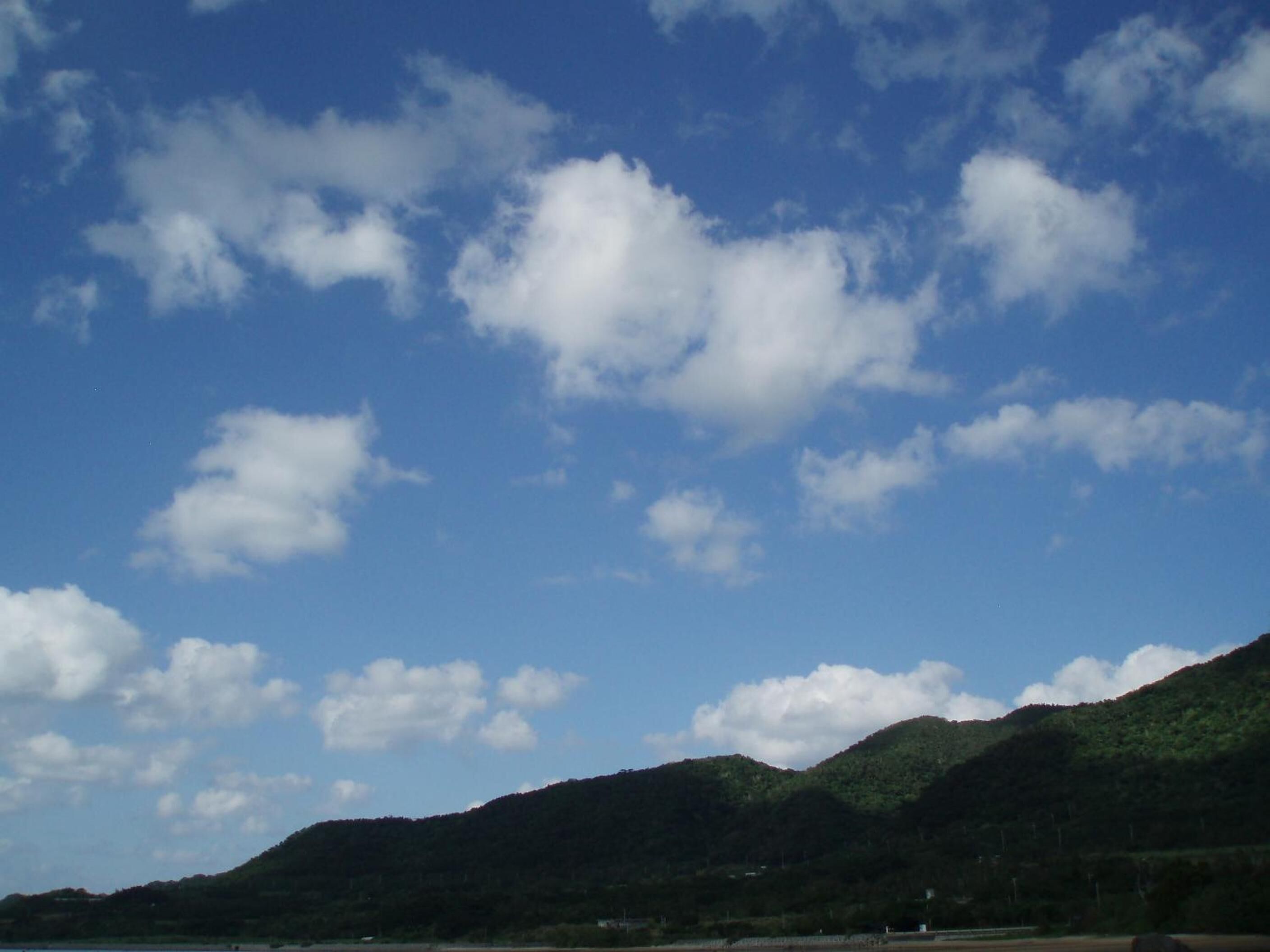 Une plage avec une montagne en arrière-plan.
