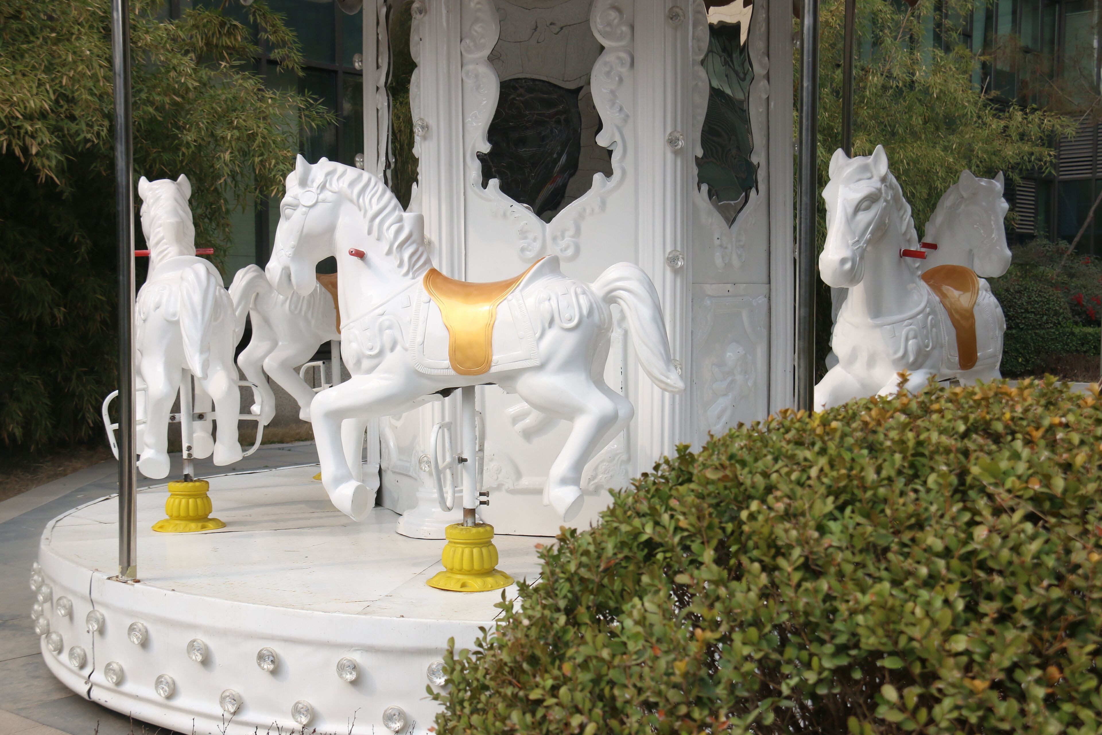 A carousel with white horses and yellow seats.