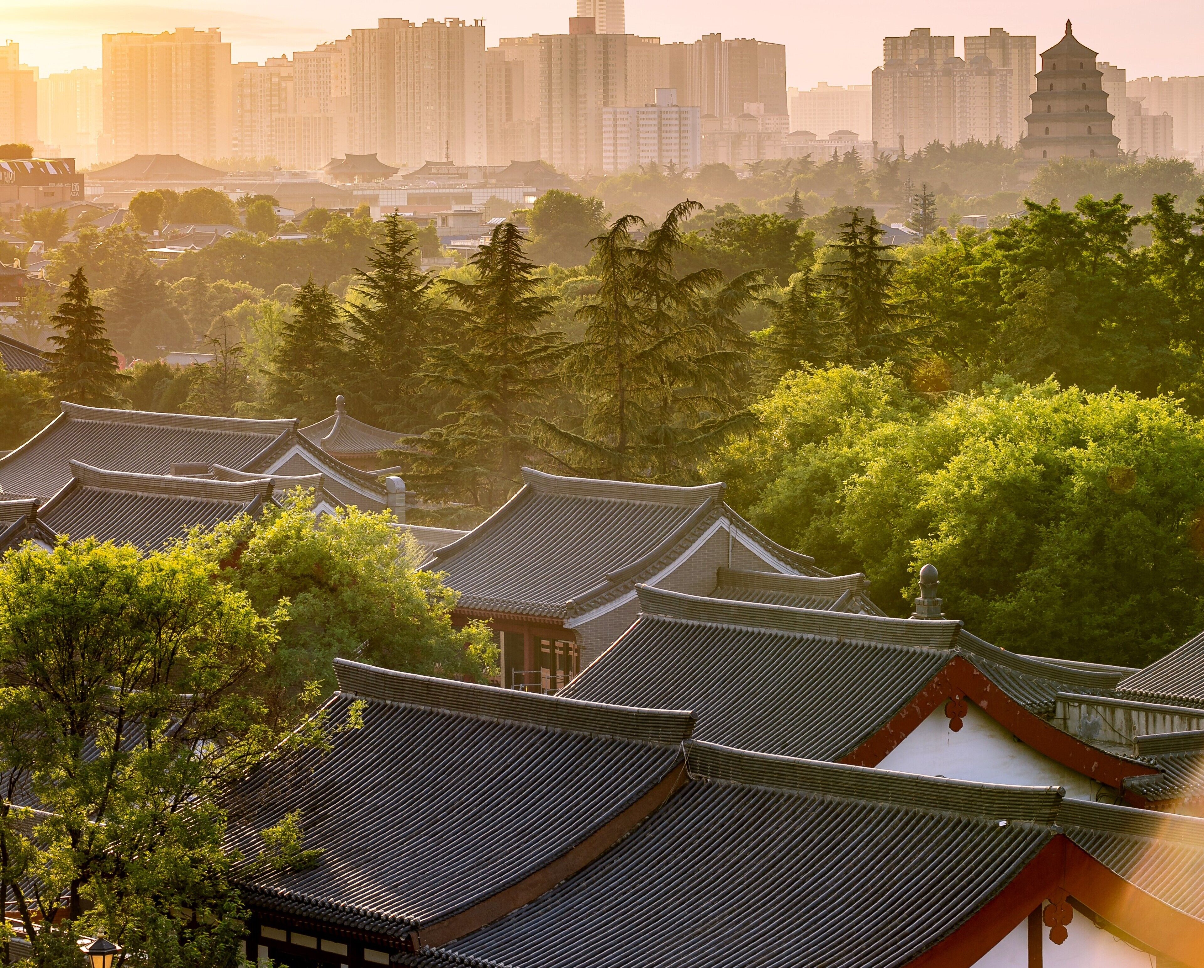 Traditional architecture with multiple buildings and a pagoda, surrounded by greenery.