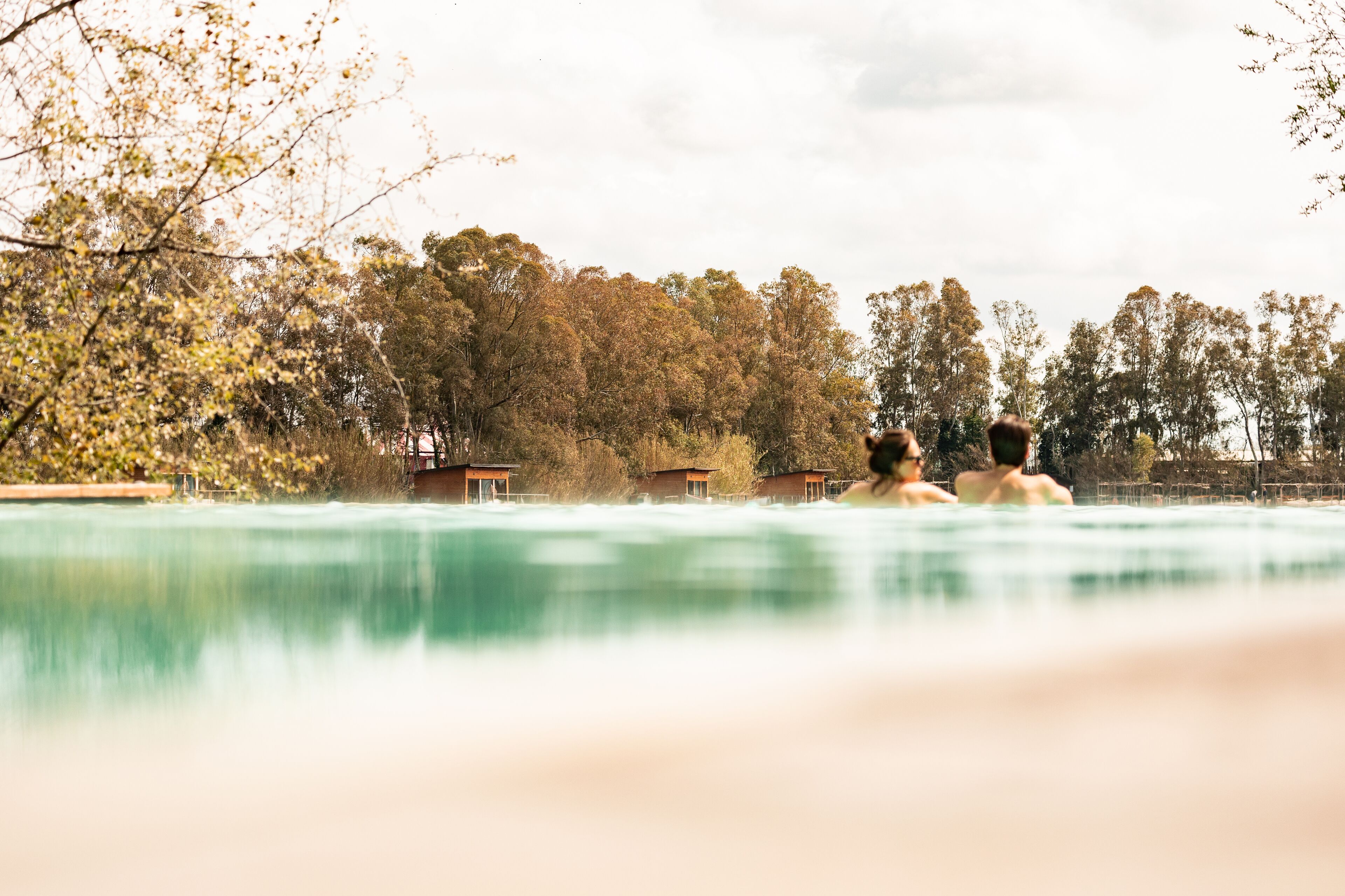 Ein Schwimmbad mit Blick auf Bäume und Gebäude im Hintergrund.