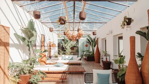 Un interior luminoso con techo de vidrio, muebles de madera y diversas plantas en macetas.