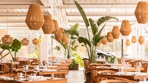 Un restaurante con mesas y sillas de madera, lámparas colgantes de mimbre y plantas grandes en macetas.