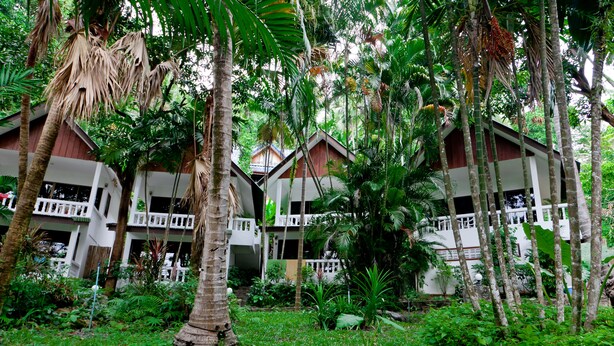Jardín