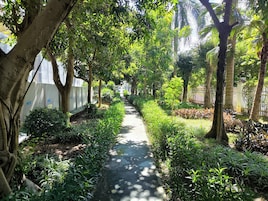 Um caminho ladeado por vegetação exuberante e árvores, que conduz a um edifício ao longe.