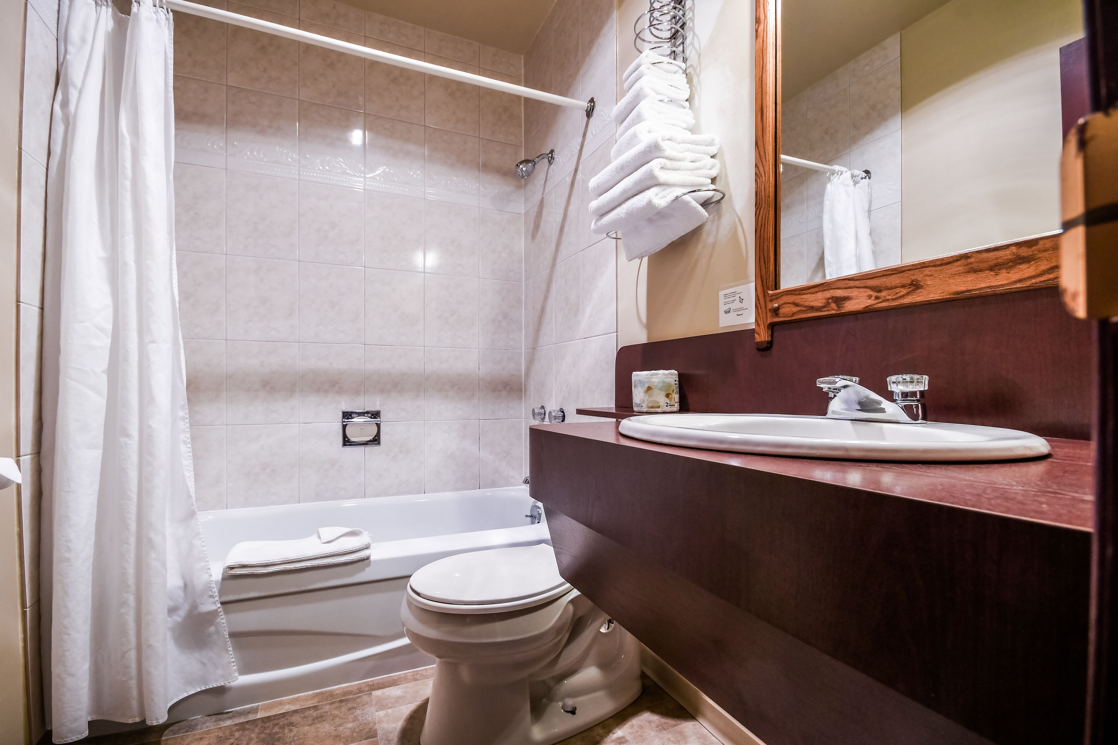 room, 2 double beds (not pet friendly) | bathroom | combined shower/bathtub, free toiletries, hair dryer, towels