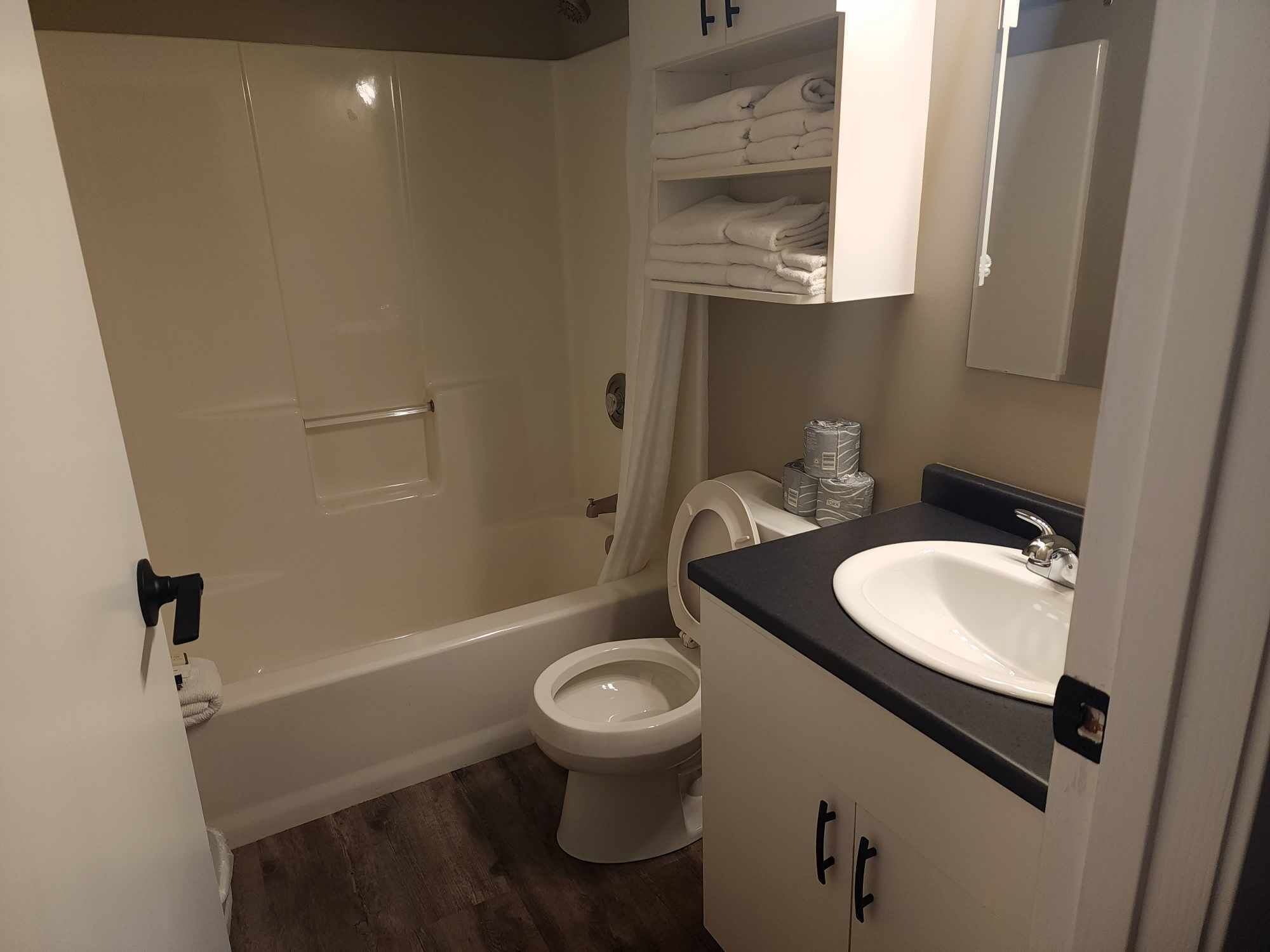 suite, kitchen (pet friendly) | bathroom | combined shower/bathtub, free toiletries, hair dryer, towels
