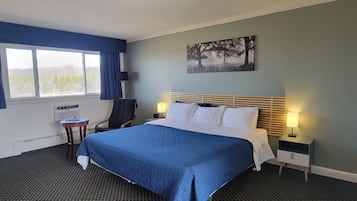 Tweepersoonskamer, 1 kingsize bed | Een strijkplank/strijkijzer, gratis babybedden, gratis wifi, beddengoed