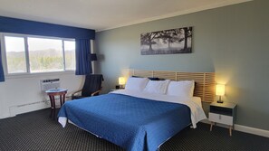 Chambre Double, 1 très grand lit | Fer et planche à repasser, lits bébé (gratuits), Wi-Fi gratuit