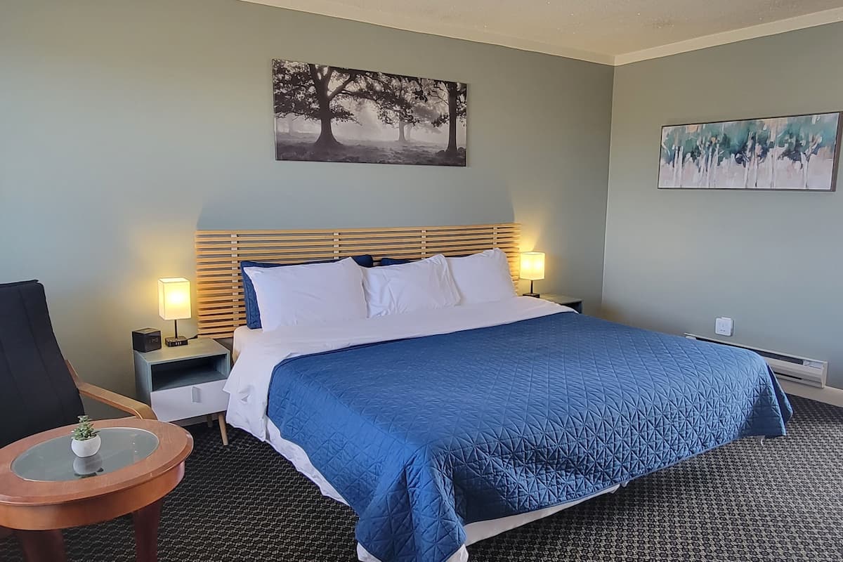 Double Room, 1 King Bed
