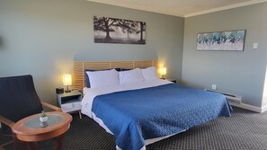 Dobbeltrom, 1 kingsize-seng | Strykejern/-brett, barnesenger (inkludert) og wi-fi (inkludert)