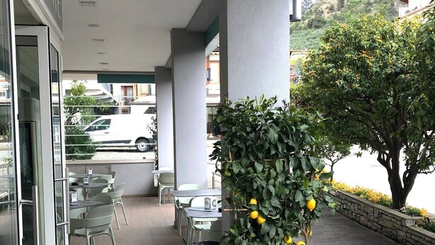 Un espacio al aire libre con mesas y sillas, un limonero en maceta y vistas a la montaña.