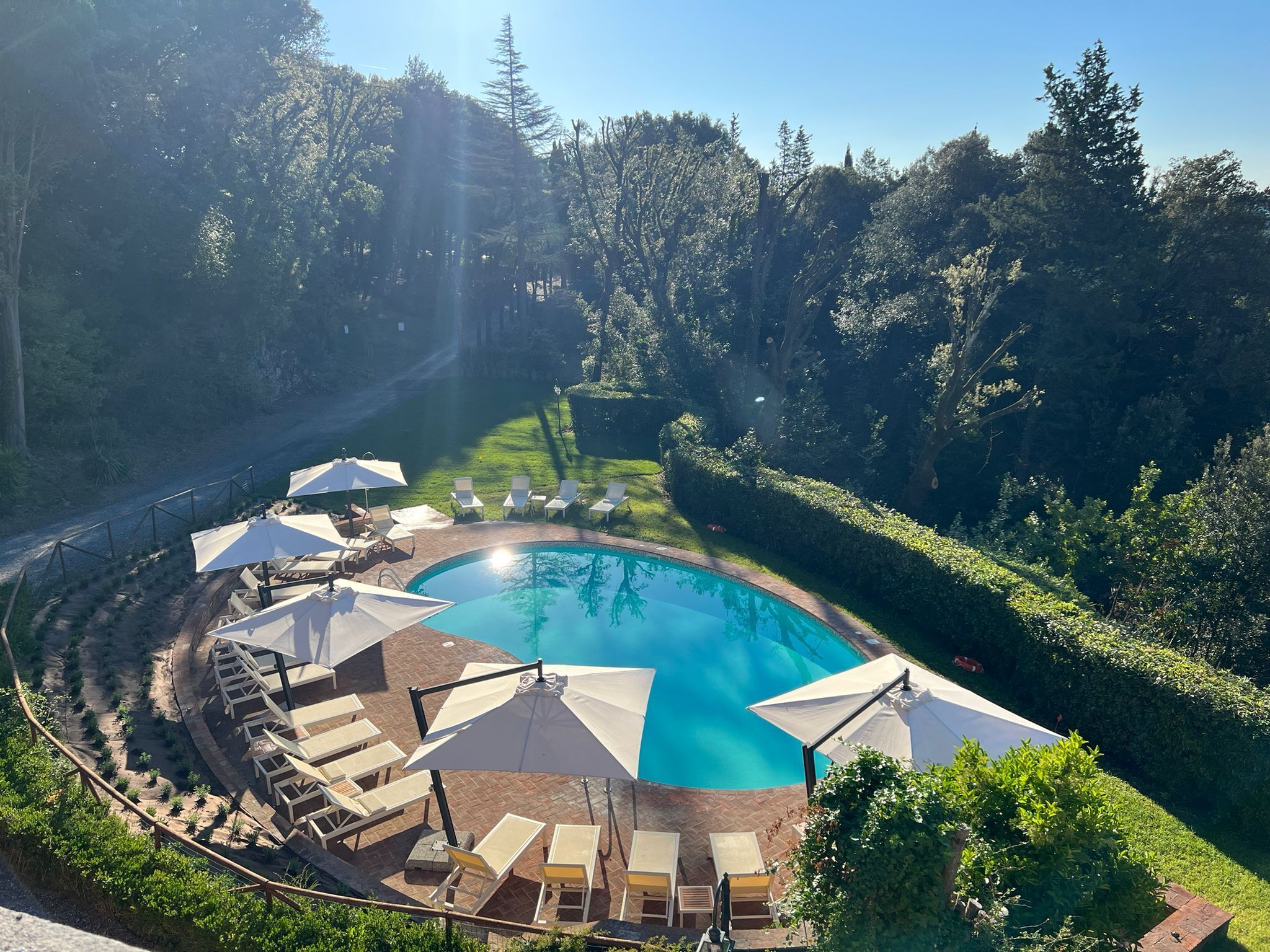 A pool surrounded by lounge chairs and umbrellas, with a forested backdrop.