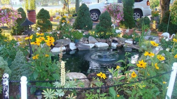 Un jardin avec un étang, entouré de différentes plantes et fleurs.
