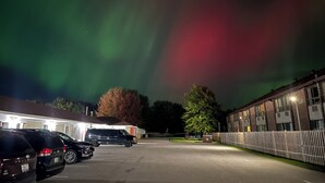Um estacionamento com vários carros e um edifício com muitas janelas.