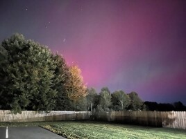 Paisaje nocturno con cielo morado, árboles y una valla de madera.