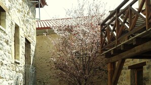 A courtyard with stone flooring, a wooden pergola, and potted plants. - Arxontiko Kefalari (Sikyona)