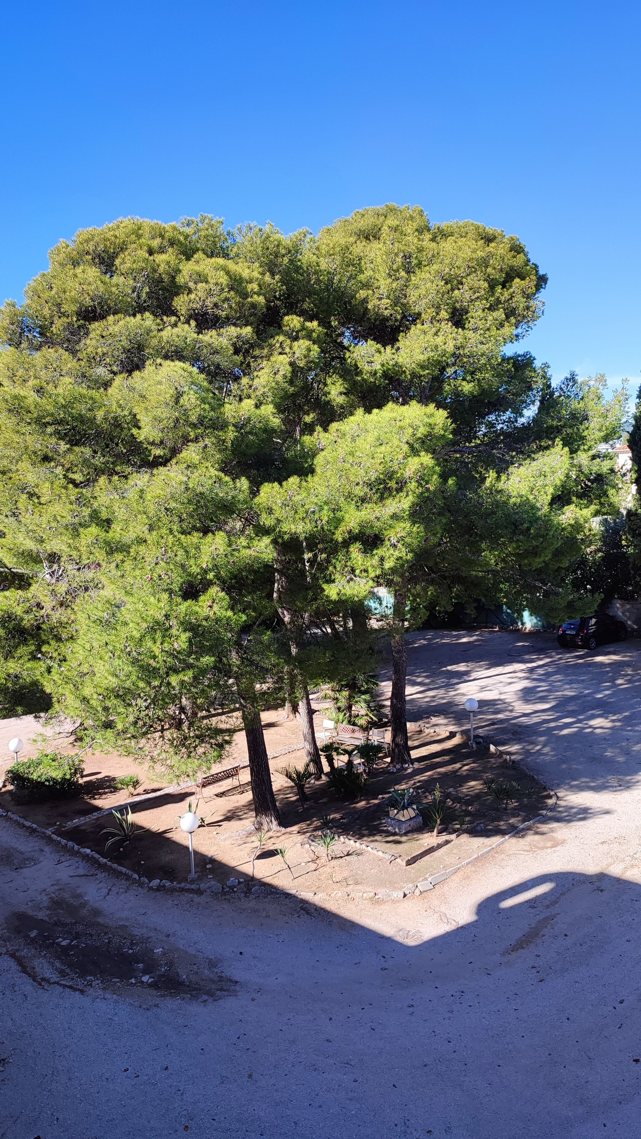 Foto - Hotel Restaurant Miramar L'orchidée