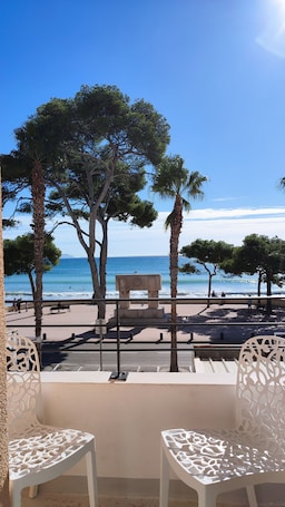 Vista del balcón