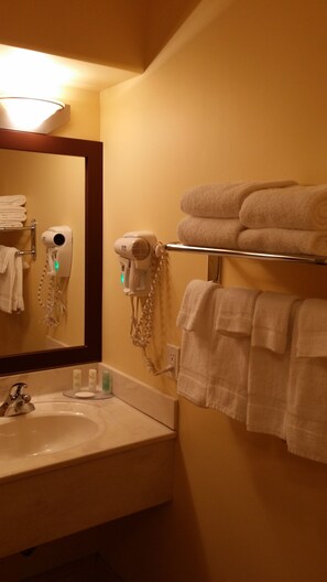 Bathroom features a sink with a mirror, hairdryer, and towel rack.