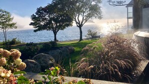 Un paisaje costero con un árbol grande, un banco y vista al mar.
