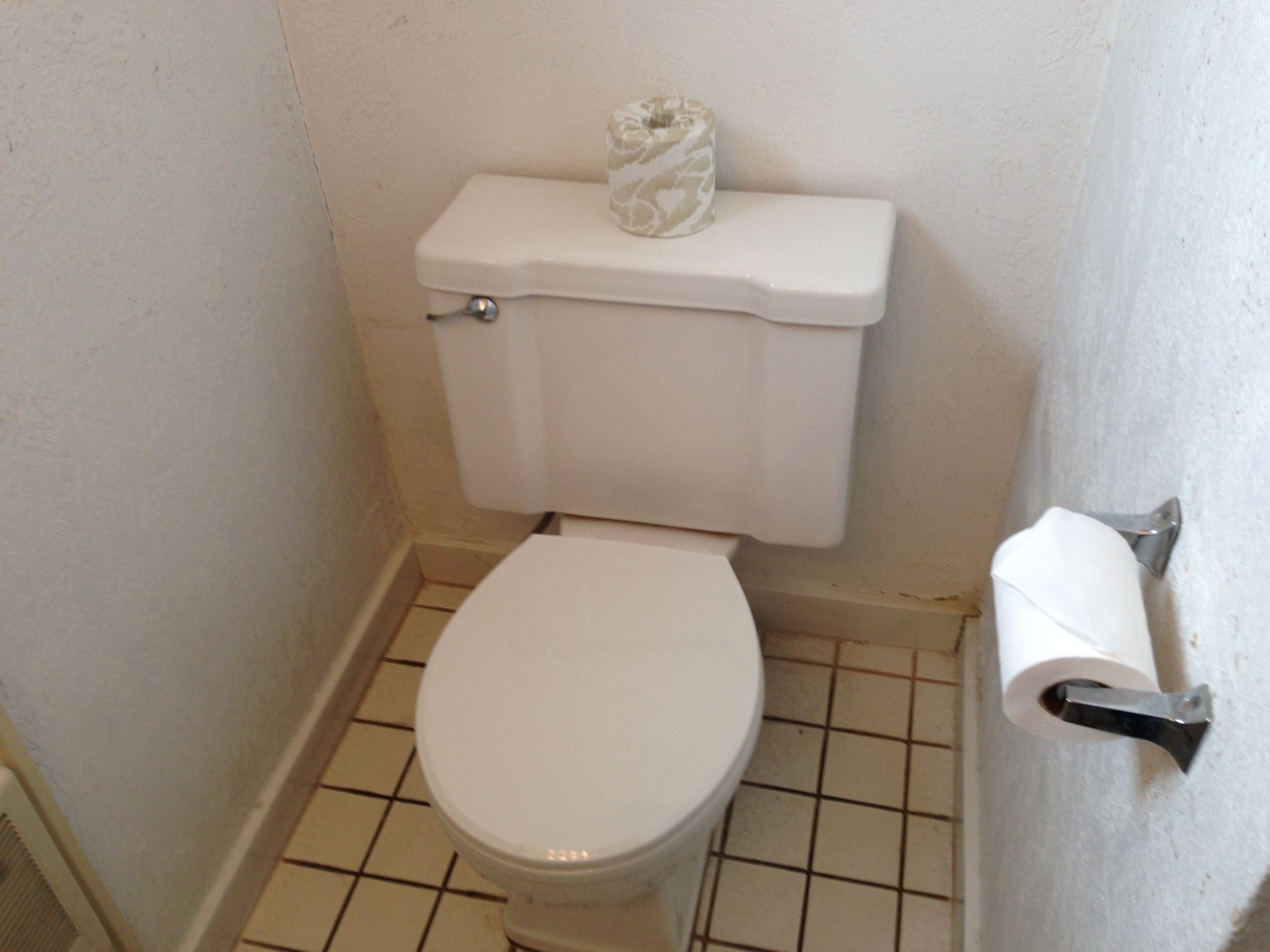 Sanitário com suporte de papel higiênico na parede.
