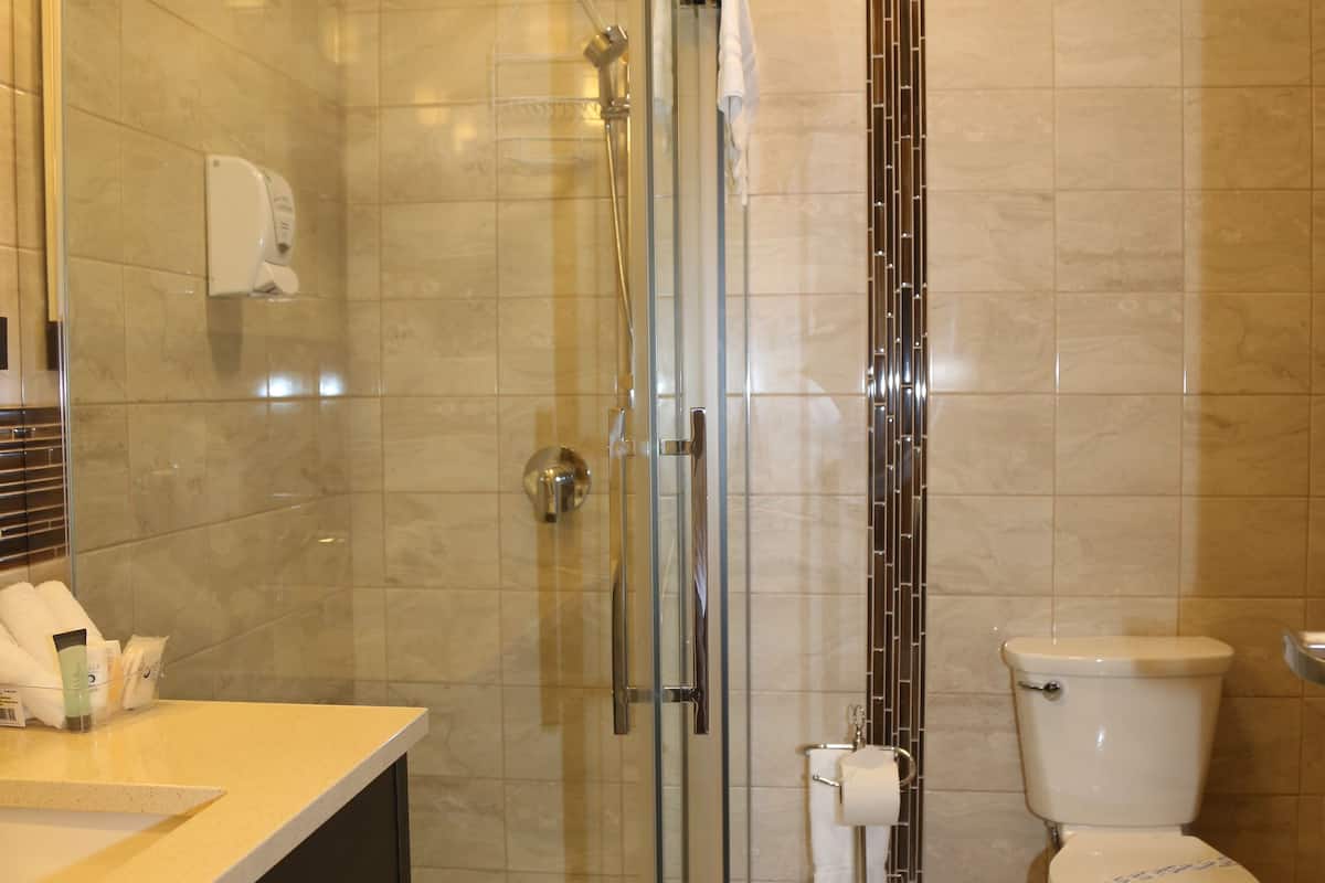 hair dryer, bathrobes, towels