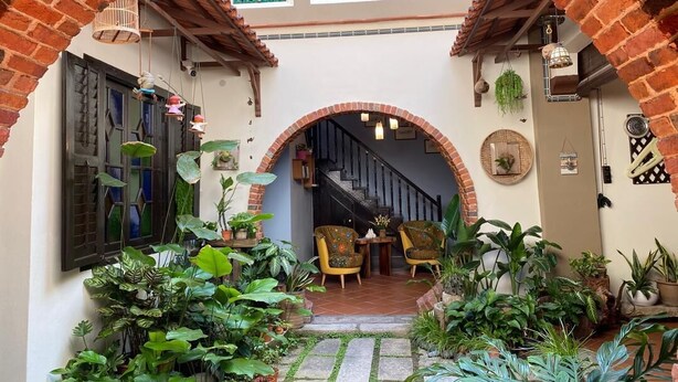 Una entrada arqueada con una escalera que conduce al interior, rodeada de plantas en macetas y dos sillas.