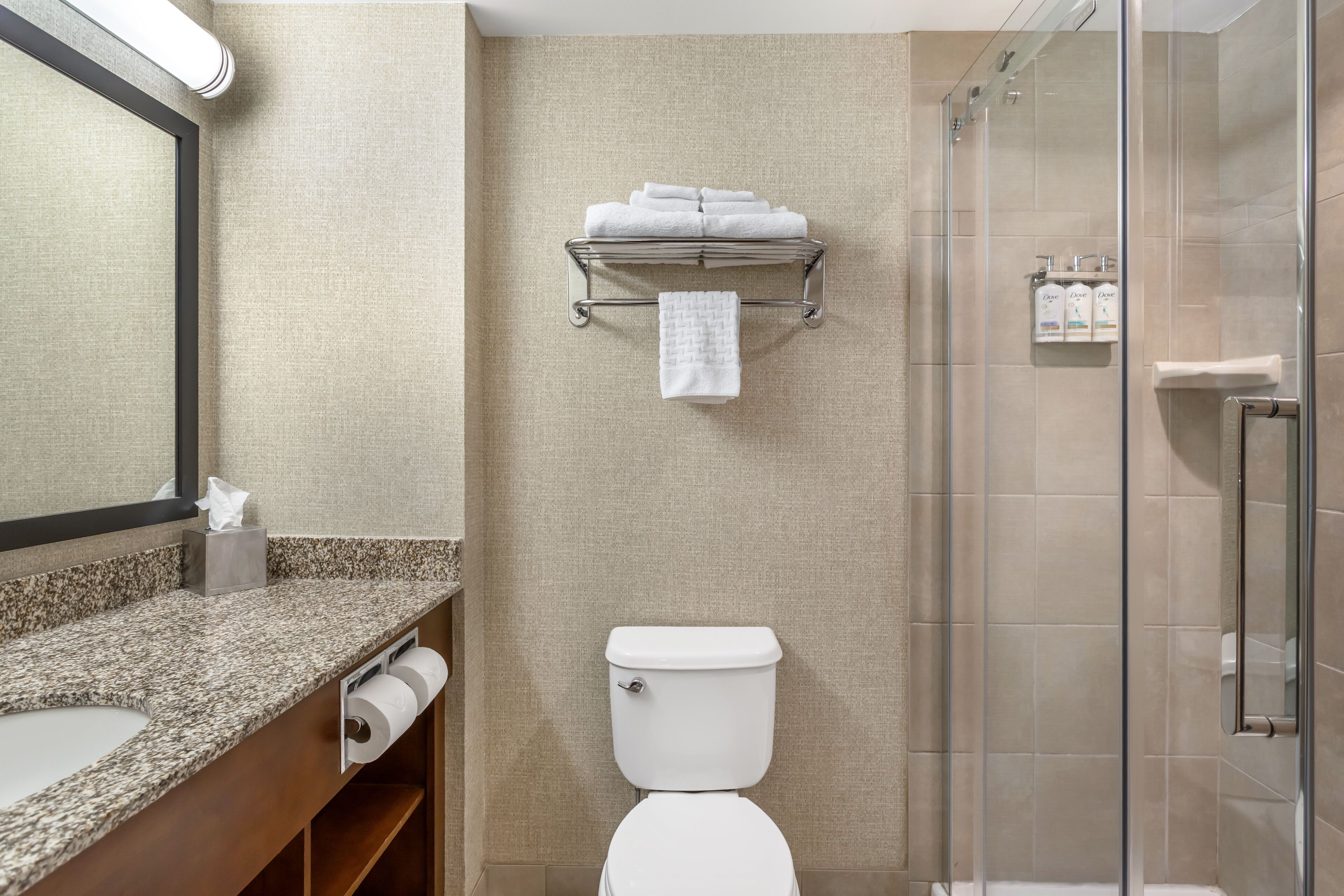 A bathroom with a toilet, a shower, a towel rack, and a mirror.