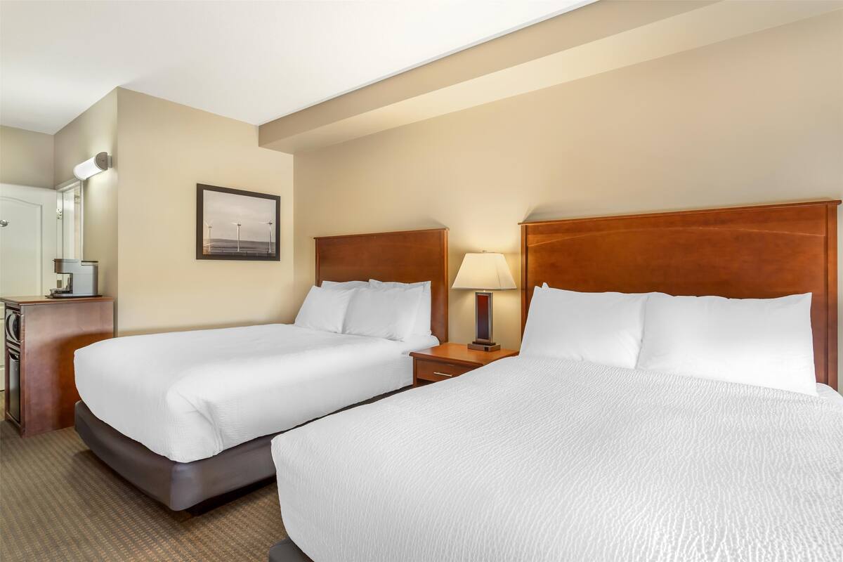 A hotel room with two beds, a nightstand with a lamp, a dresser, and a framed picture on the wall.