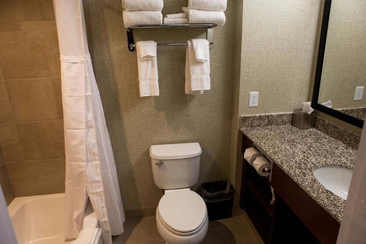 combined shower/bathtub, free toiletries, hair dryer, towels