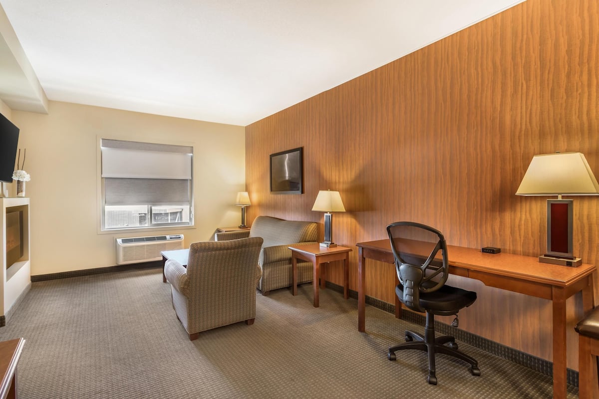 Suite, 1 King Bed, Non Smoking, Refrigerator & Microwave (with Sofabed)