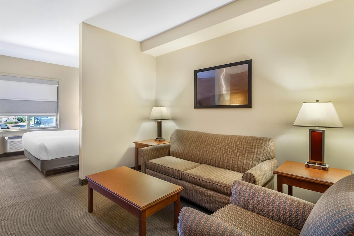 Standard Room, 1 King Bed, Non Smoking, Refrigerator & Microwave (with Sofabed)