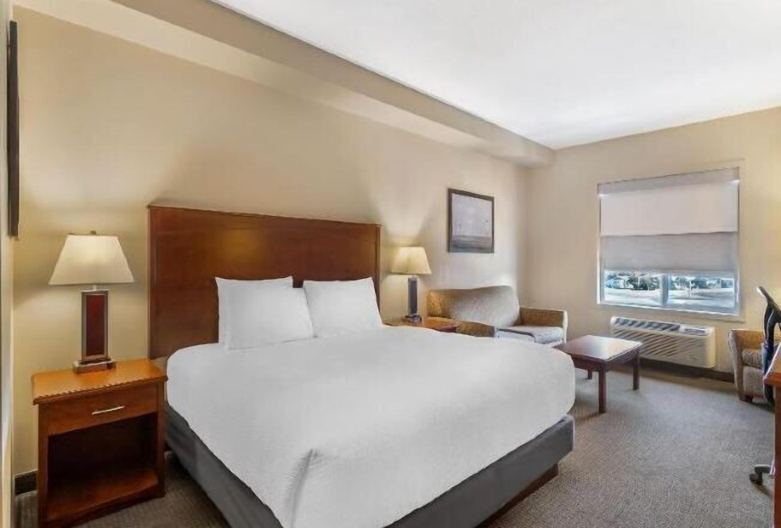 Premium bedding, desk, laptop workspace, blackout curtains