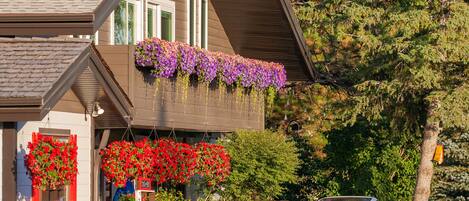 A two-story building with flower boxes on the balcony and a car parked in front.