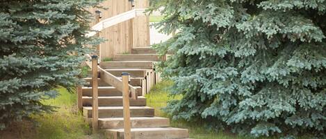 Un escalier en bois mène à une terrasse en bois, qui est entourée d’arbres à feuilles persistantes.