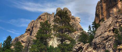 A mountainous landscape with rocky formations and dense pine trees.