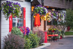 Property grounds - Bavarian Inn Black Hills (Custer)