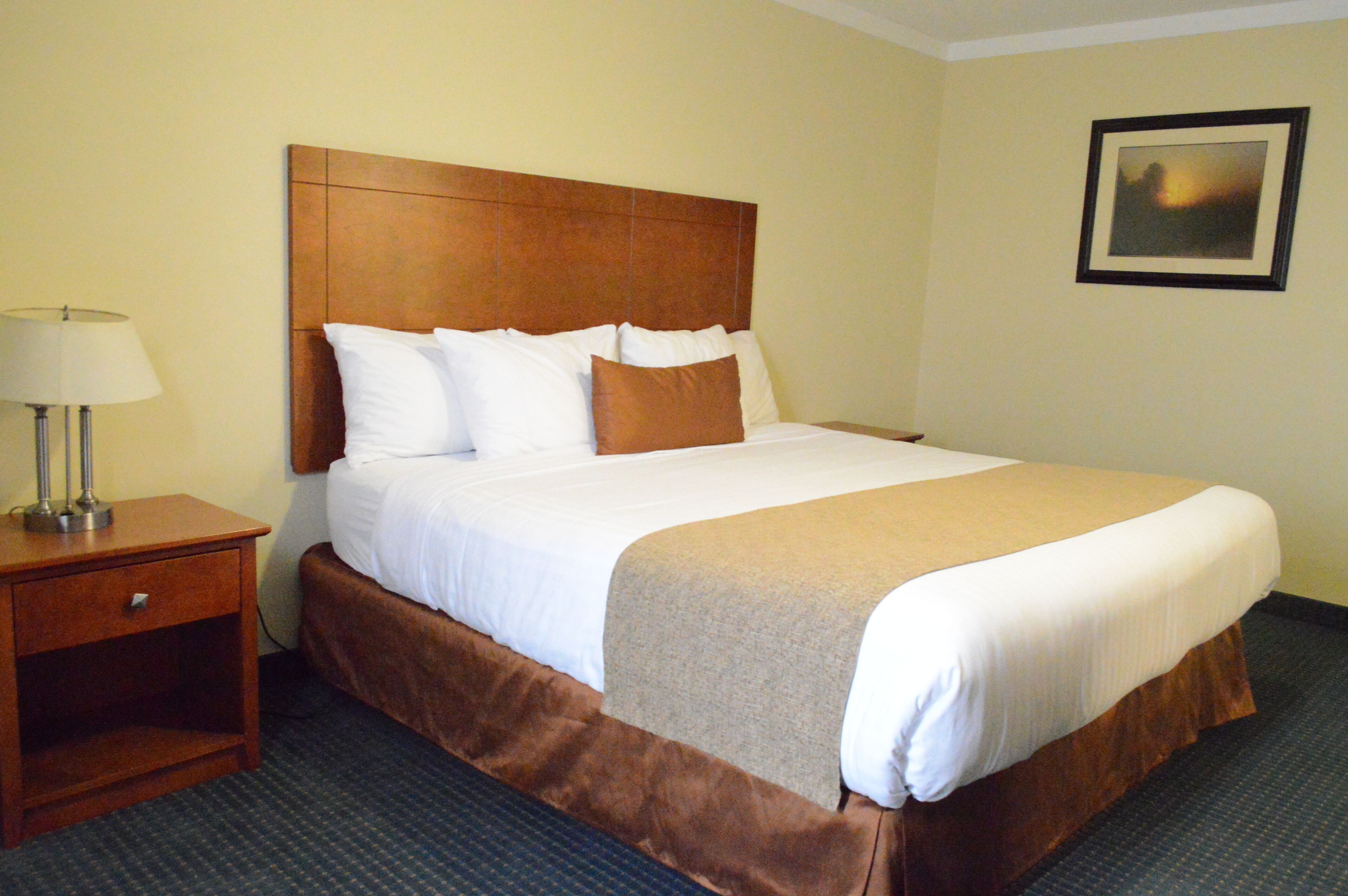 Iron/ironing board, free WiFi, bed sheets, wheelchair access