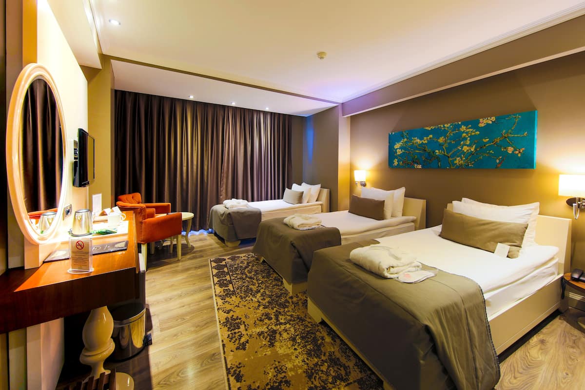 standard room | free minibar items, in-room safe, desk, soundproofing