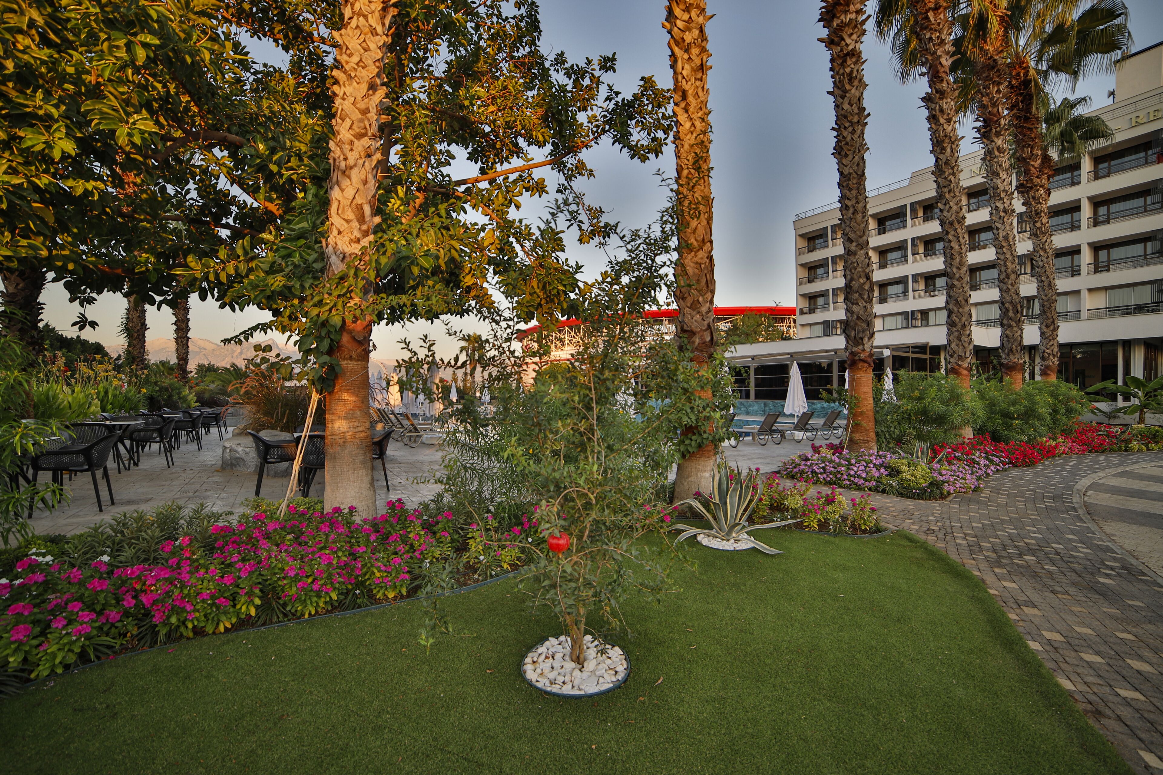 A landscaped outdoor area with palm trees, a pool, and a building with a red roof in the background.