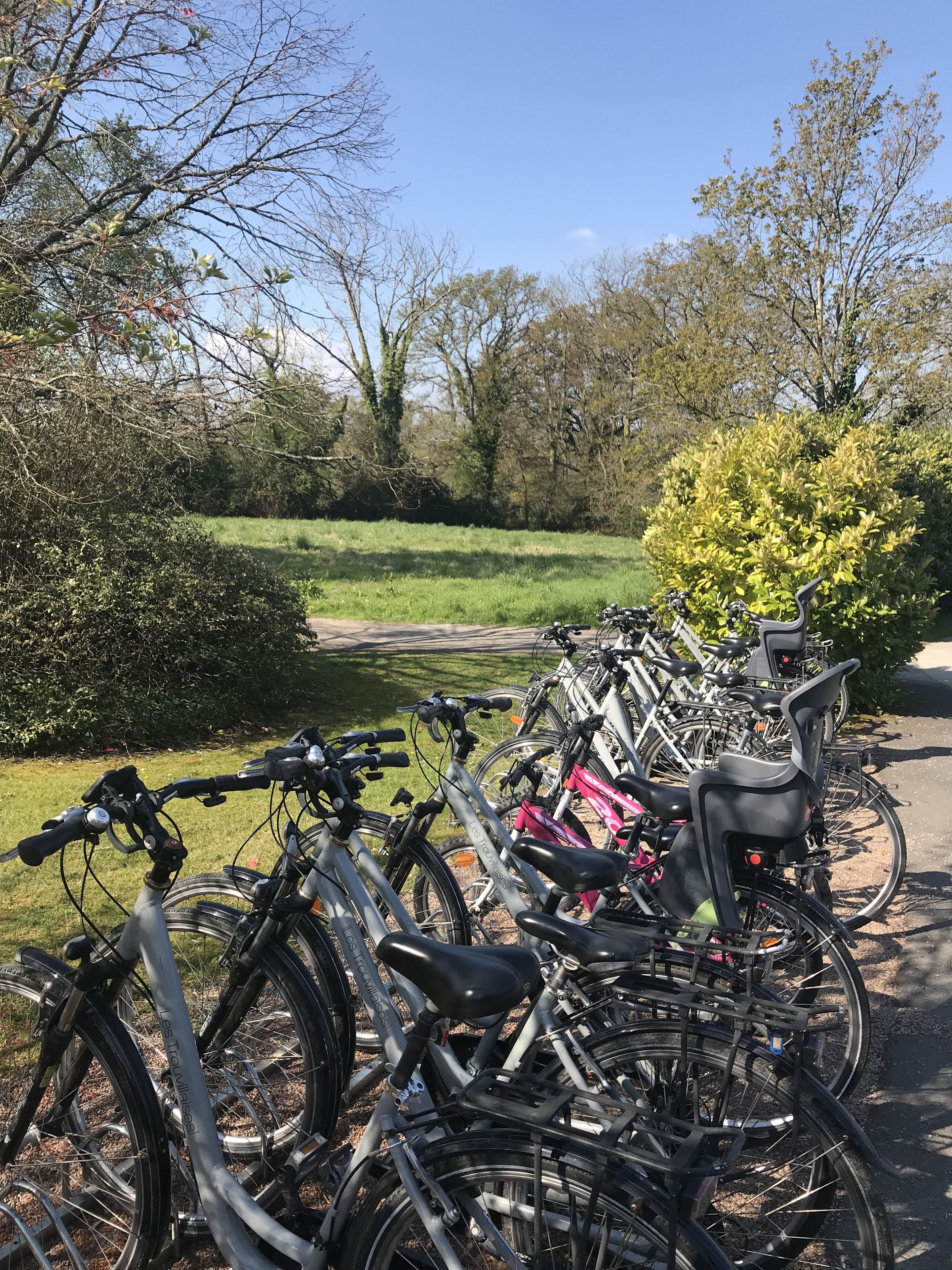 Una fila de bicicletas estacionadas en un parque con árboles y césped al fondo.